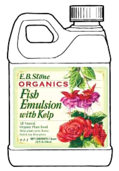 E.B. Stone™ Organics Green Moss