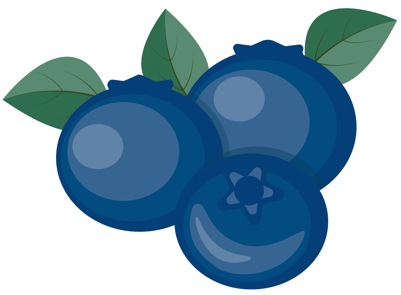 blueberry icon