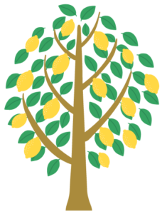 citrus tree icon