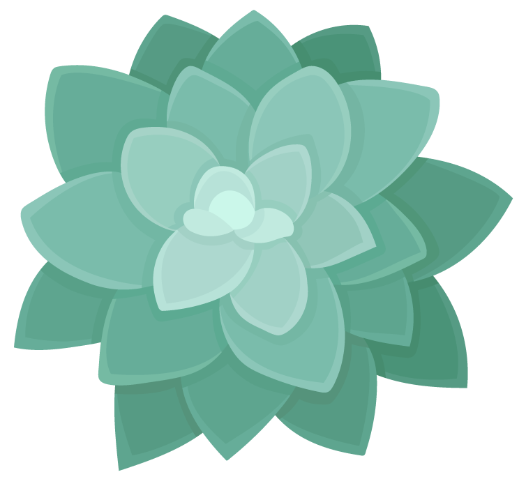 succulent icon