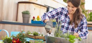 Woman Planting Container On Rooftop Garden