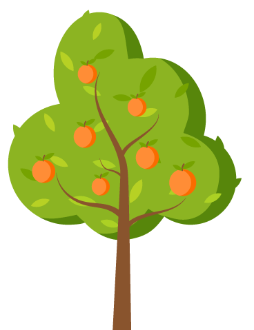 Orange tree