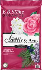 Azalea, Camellia and Acid