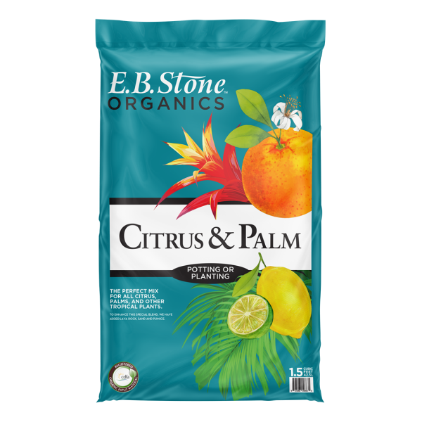 Citrus & Palm Mix