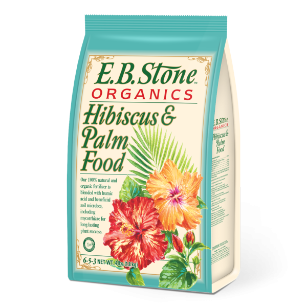 Hibiscus & Palm Food