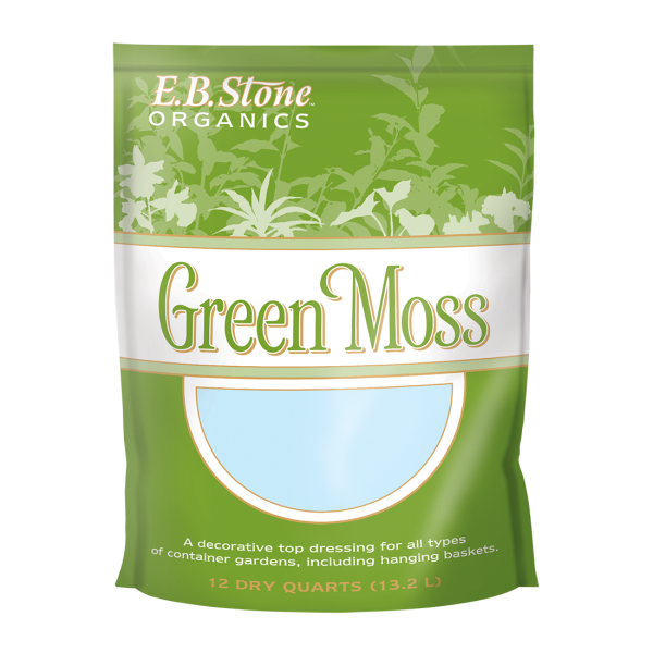 Green Moss
