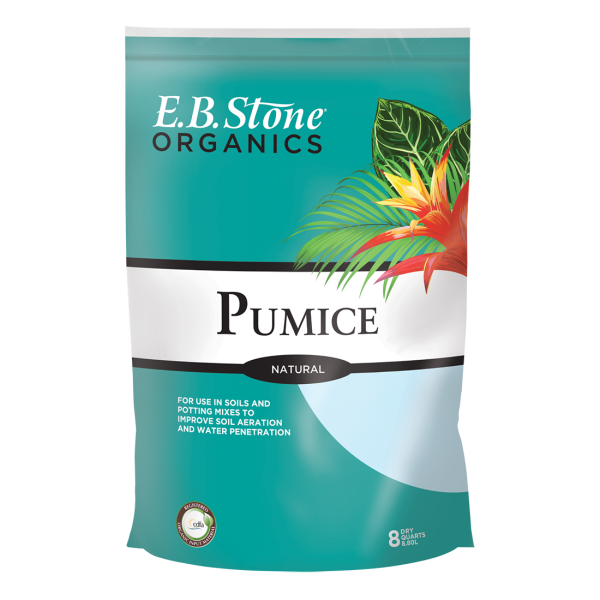 Pumice