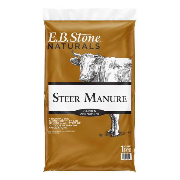 Steer Manure