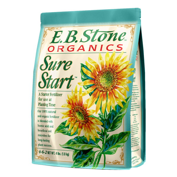 Sure Start 4-6-2