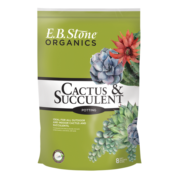 Cactus & Succulent Mix